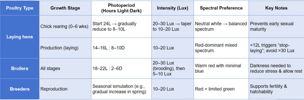 Tailored Lighting for Poultry Types